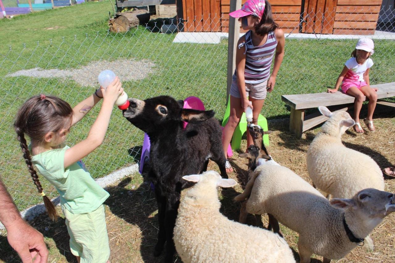 La Petite Ferme De Pouillon - Parc Animalier - Aire De Loisirs Bed & Breakfast Eksteriør bilde